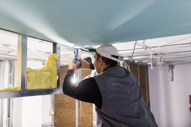 Best Attic Insulation Installation  in Rosebud, TX