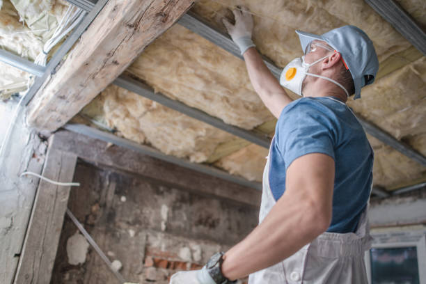 Best Soundproof Insulation Installation  in Rosebud, TX