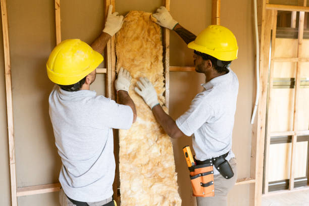 Best Insulation Contractors for Homes  in Rosebud, TX